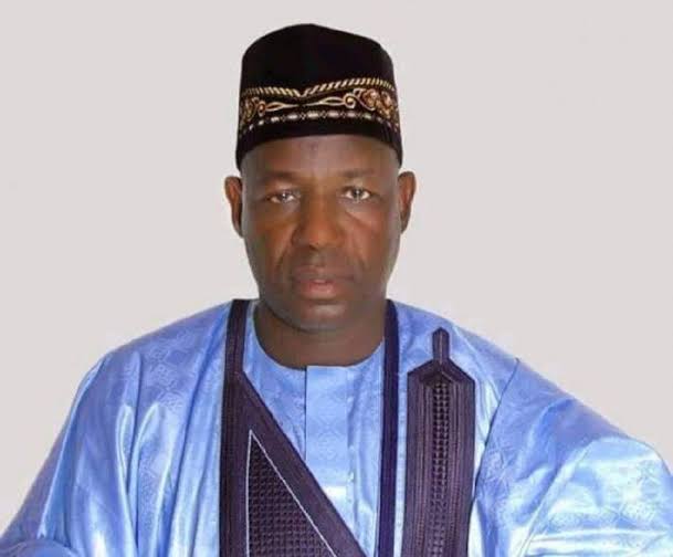 Bauchi engages 800 volunteers in community healthcare services