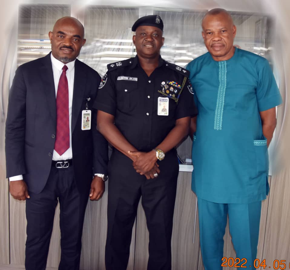 Portray Us Well In Your Movies,  IGP Tells Nigerian Actors