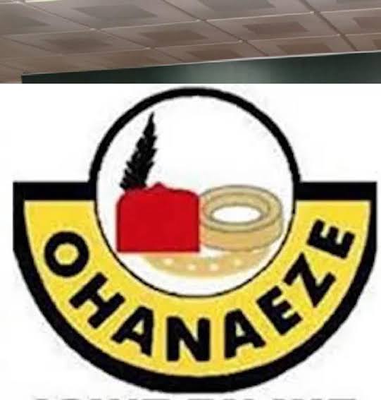 Igbo presidency: Ohanaeze forms a committee to persuade Emirs, Obas, and others.