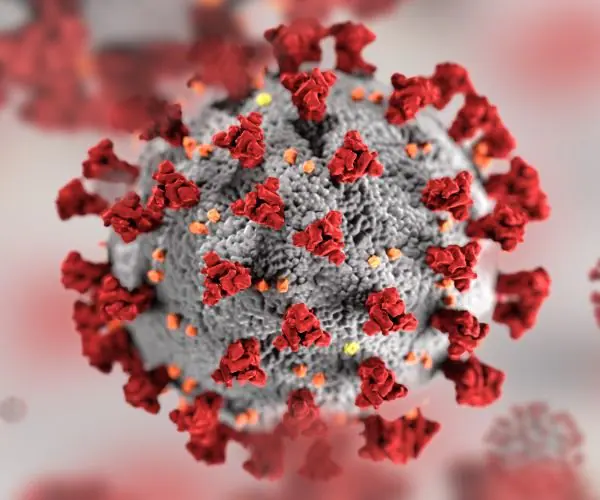 CDC in US Removes Social Distancing Requirement, Quarantine.