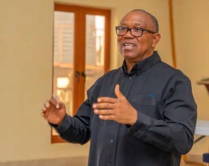 Labour Party’s Peter Obi Requests 7-Week Extension for Witness Presentation in Election Petition Case