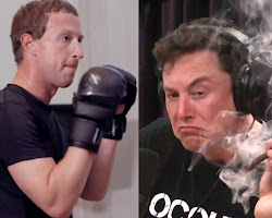 Twitter vs. Threads: The Battle for Social Media Supremacy