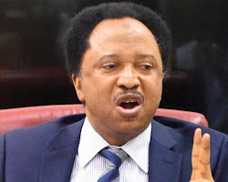 Sani Blasts Tinubu’s Ministerial List, Calls Nominees ‘Vultures’ and ‘Serpents’