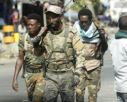 Ethiopia’s Federal Government Imposes State of Emergency in Amhara Region