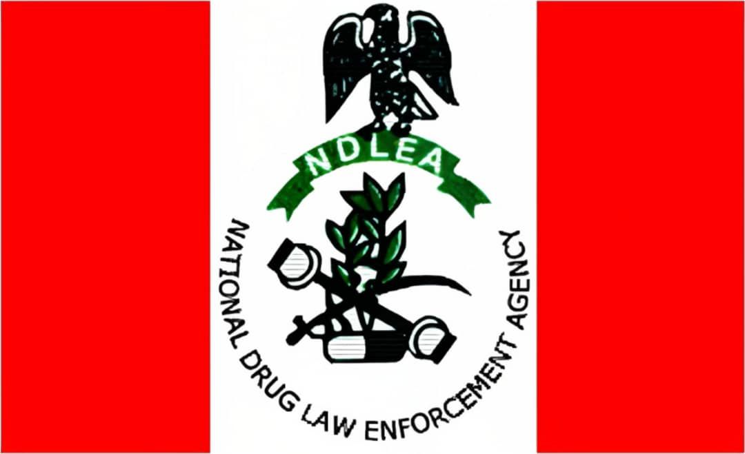 NDLEA Issues Warning Against New Scam Targeting Public