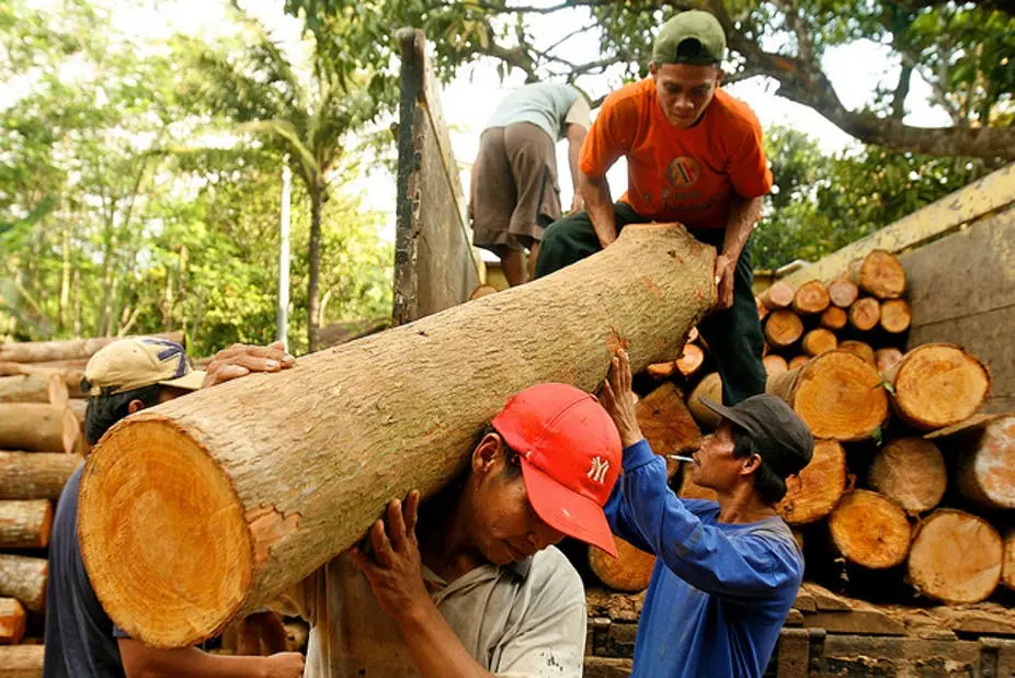Federal Government Increases Charges and Restricts Wood Export
