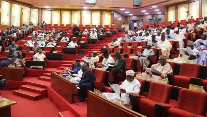 Nigerian Senate Extends Implementation of 2023 Budget to December 31,2024