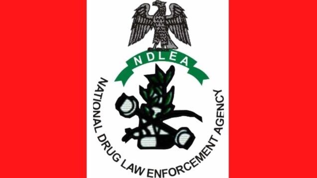 National Drug Law Enforcement Agency Arrests Over 100 Persons Over Illicit Drugs