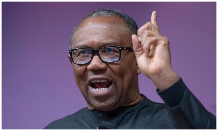 Peter Obi Hails South Africa For Transparent Election