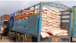 Federal Government Distributes Rice Nationwide