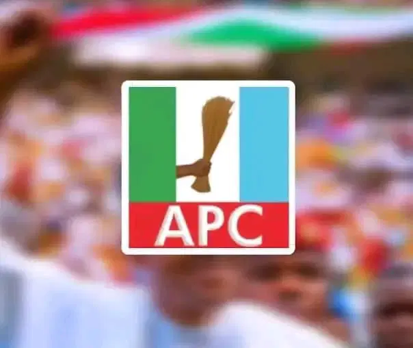 APC Expresses Satisfaction with Imo Local Government Election Process