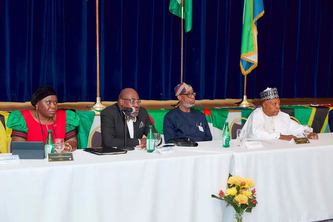 Tinubu Urges Africa to Add Value to Mineral Resources