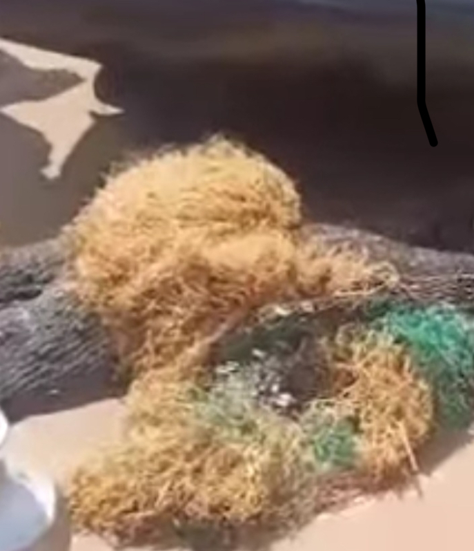 Tragedy Strikes Imo Awka Festival as Masquerade Is Killed by Tricycle