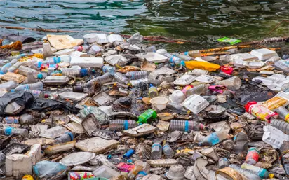 Anambra NGO Launches River Cleanup Campaign, Warns Against Eating Fish from Polluted Waters