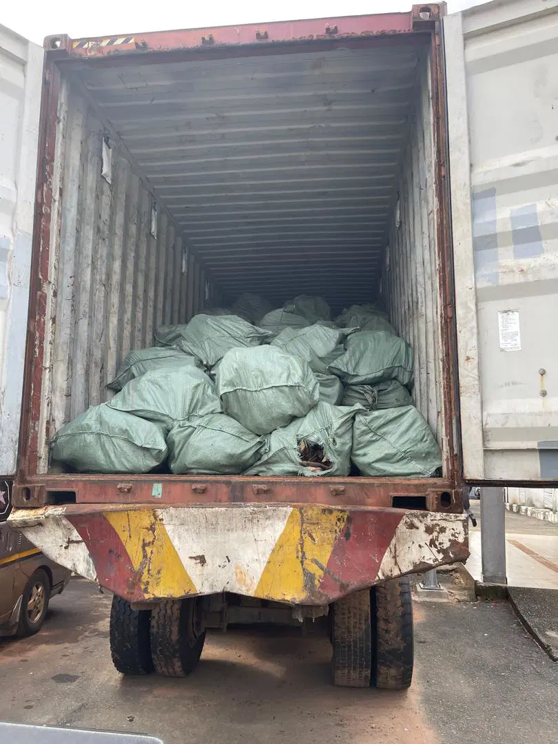 Customs Seize N3.6bn Donkey Skin Bound for Illegal Export in Imo