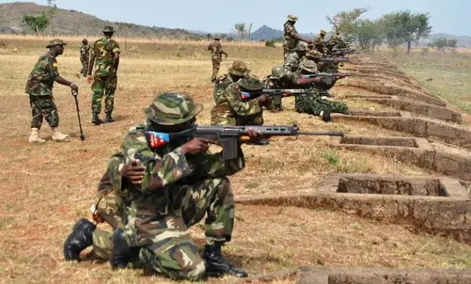 Troops Kill 17 Terrorists, Disarm 14 Bombs in Northeast Offensive
