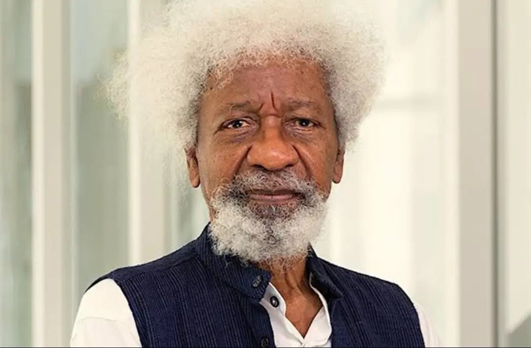 Soyinka’s Visa and the Rule of Sovereignty: A Lesson in Mutual Respect