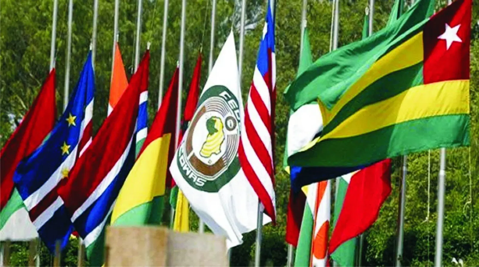 ECOWAS Parliament Orders Probe Into Terror Attacks, Xenophobic Violence