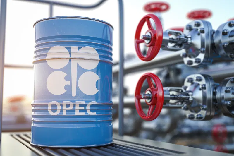 UAE says OPEC exit driven by economic strategy, not rivalry with Saudi Arabia